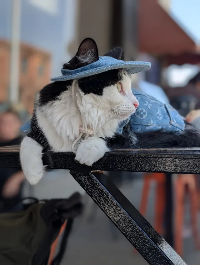 Profile view of Salem in her denim outfit at a café