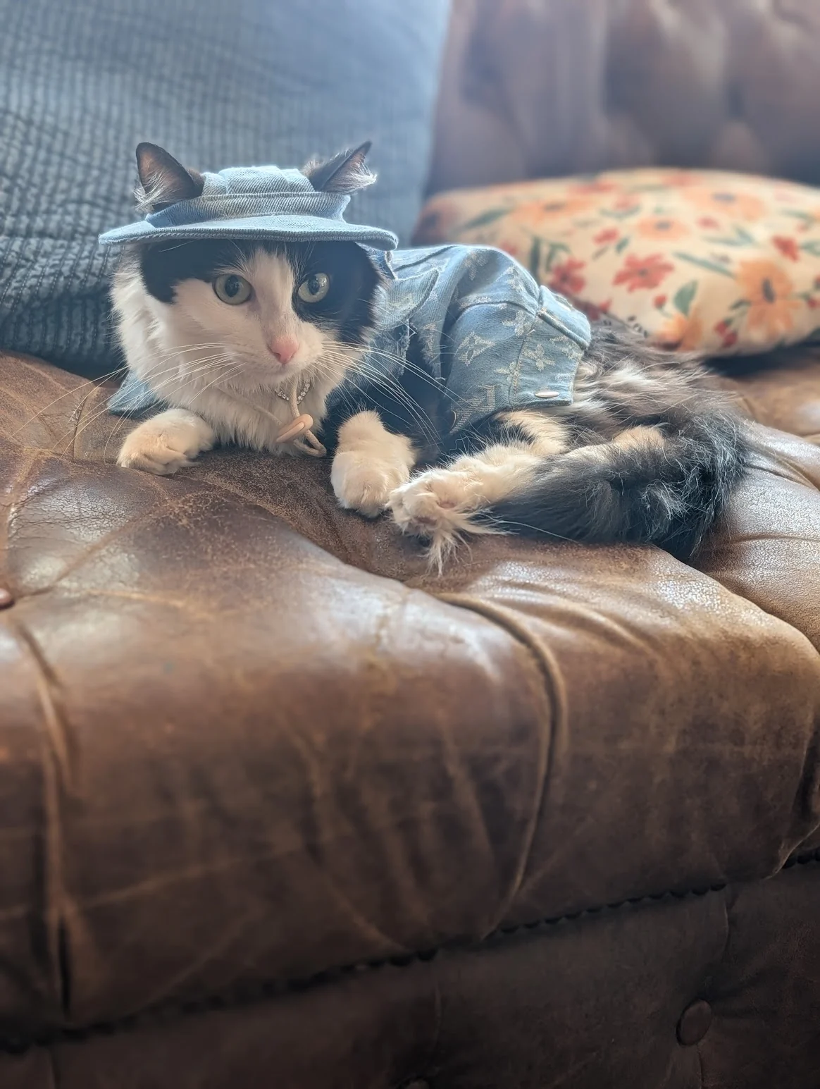 Salem relaxing on a leather couch in her denim hat and jacket